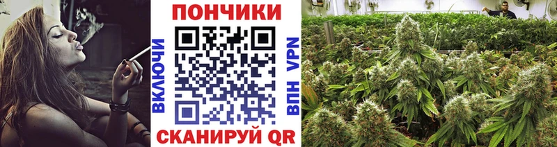 Бошки Шишки марихуана Зверево